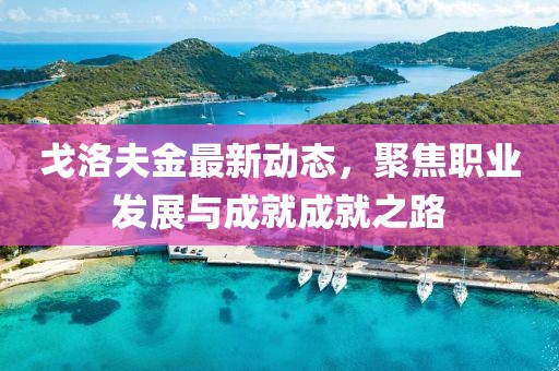 戈洛夫金最新動態(tài)，聚焦職業(yè)發(fā)展與成就成就之路