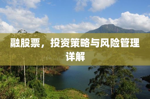 融股票，投資策略與風險管理詳解
