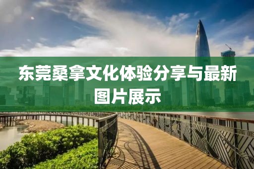 東莞桑拿文化體驗分享與最新圖片展示