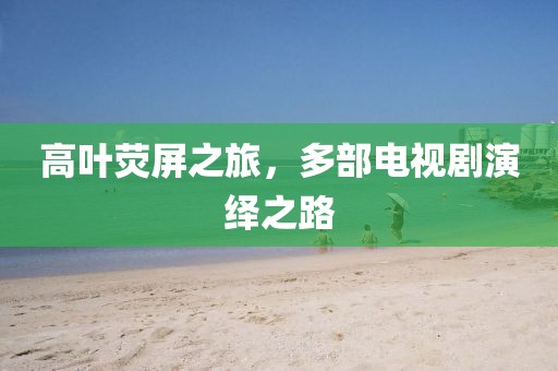 高葉熒屏之旅，多部電視劇演繹之路