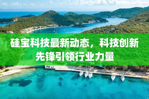 硅寶科技最新動態，科技創新先鋒引領行業力量