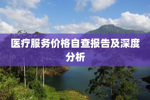 醫(yī)療服務(wù)價(jià)格自查報(bào)告及深度分析