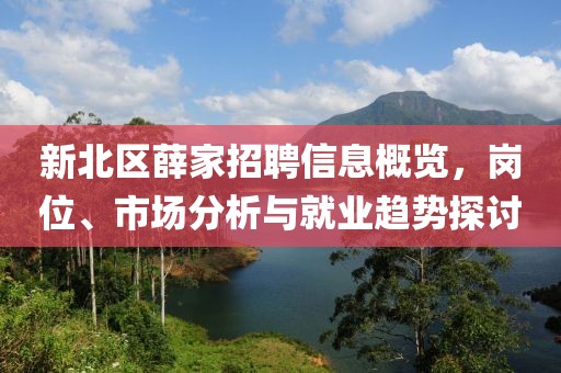 新北區薛家招聘信息概覽，崗位、市場分析與就業趨勢探討