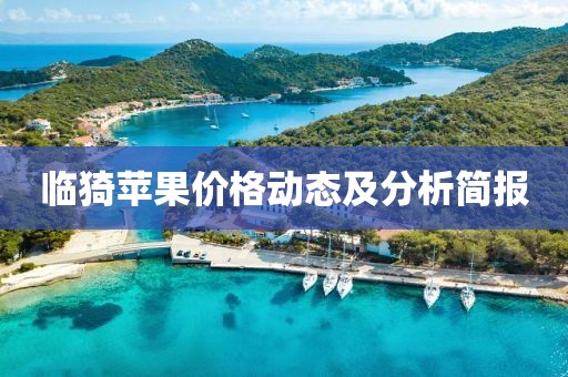 臨猗蘋果價格動態及分析簡報