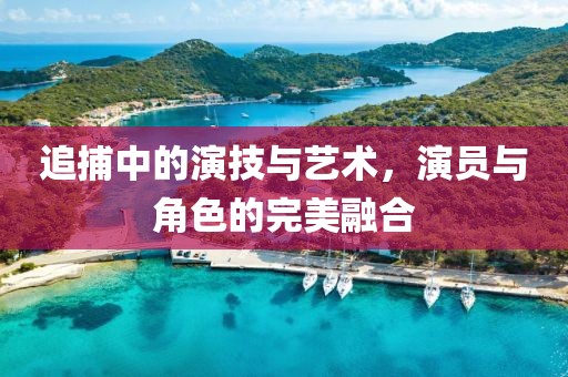 追捕中的演技與藝術，演員與角色的完美融合
