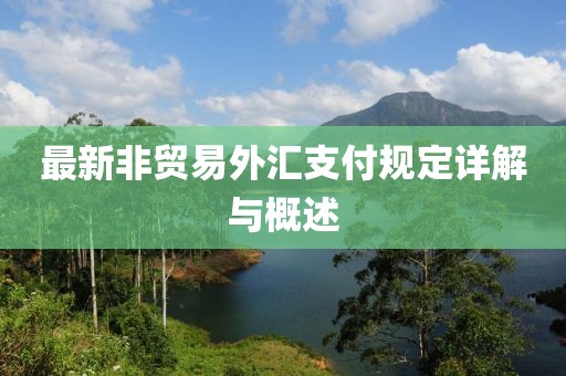 最新非貿易外匯支付規定詳解與概述