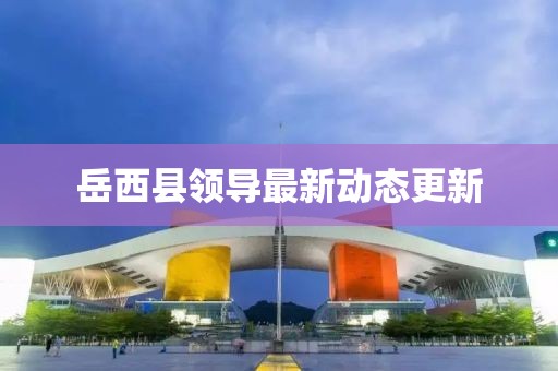 岳西縣領導最新動態更新