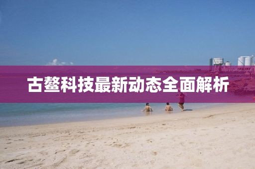 古鰲科技最新動態(tài)全面解析