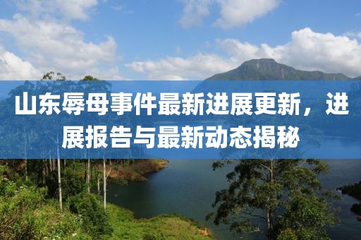 山東辱母事件最新進展更新，進展報告與最新動態(tài)揭秘