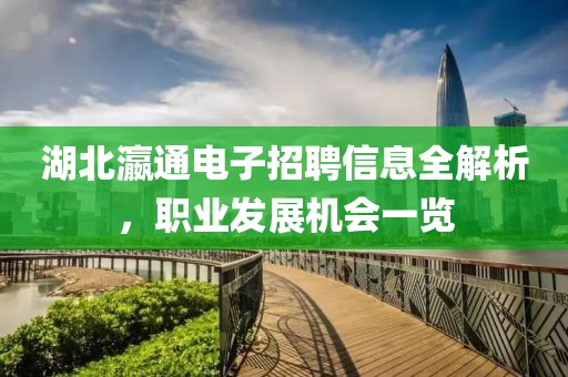 湖北瀛通電子招聘信息全解析，職業發展機會一覽