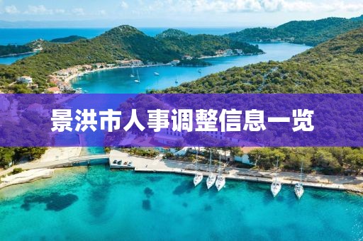 景洪市人事調(diào)整信息一覽