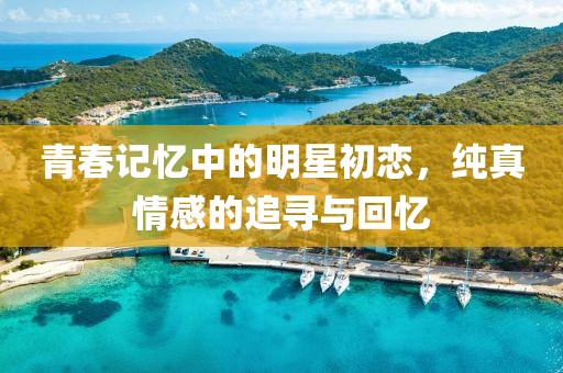 青春記憶中的明星初戀，純真情感的追尋與回憶