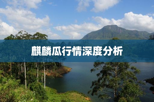 麒麟瓜行情深度分析