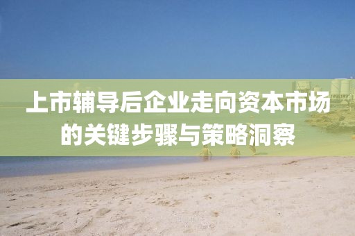 上市輔導后企業走向資本市場的關鍵步驟與策略洞察
