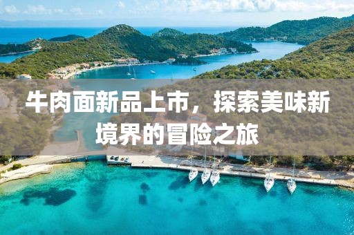 牛肉面新品上市，探索美味新境界的冒險之旅