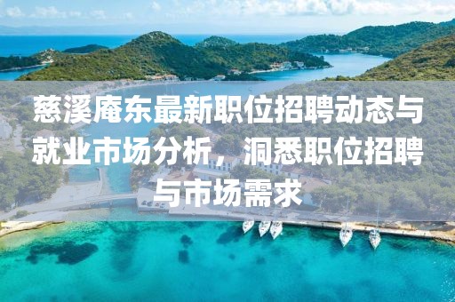 慈溪庵東最新職位招聘動態與就業市場分析，洞悉職位招聘與市場需求