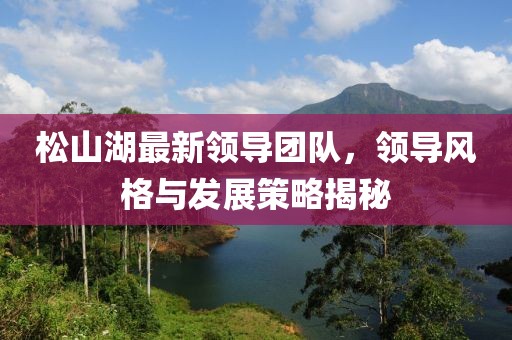 松山湖最新領導團隊，領導風格與發展策略揭秘