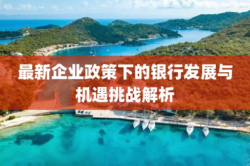 最新企業(yè)政策下的銀行發(fā)展與機遇挑戰(zhàn)解析