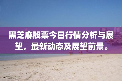黑芝麻股票今日行情分析與展望，最新動態及展望前景。