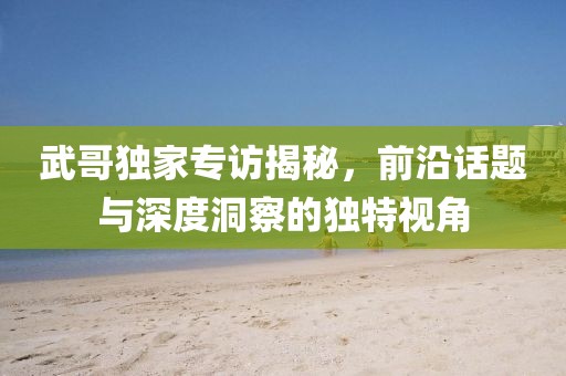 武哥獨家專訪揭秘，前沿話題與深度洞察的獨特視角