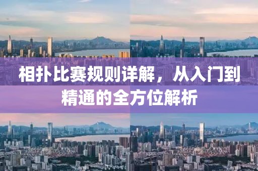 相撲比賽規(guī)則詳解，從入門到精通的全方位解析