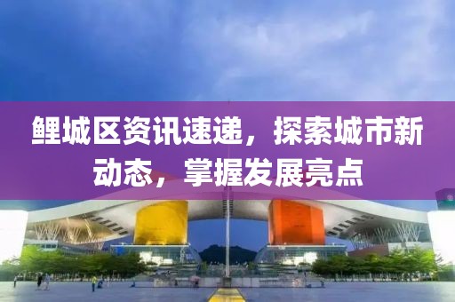 鯉城區資訊速遞，探索城市新動態，掌握發展亮點