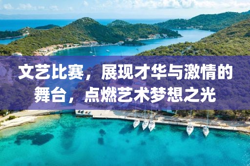 文藝比賽，展現(xiàn)才華與激情的舞臺，點燃藝術(shù)夢想之光