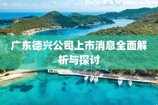 廣東德興公司上市消息全面解析與探討
