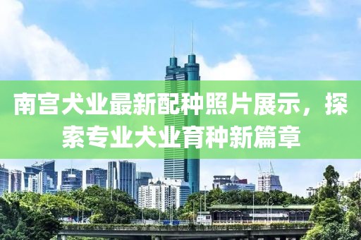南宮犬業最新配種照片展示，探索專業犬業育種新篇章