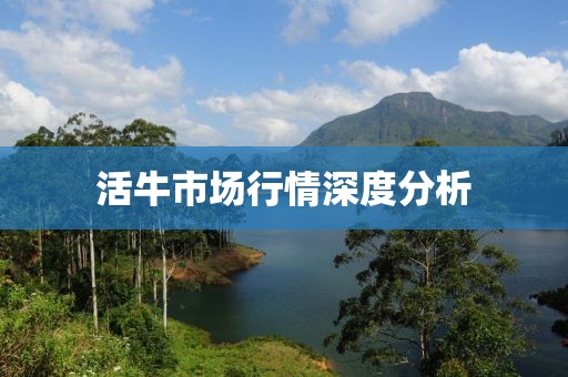 活牛市場行情深度分析