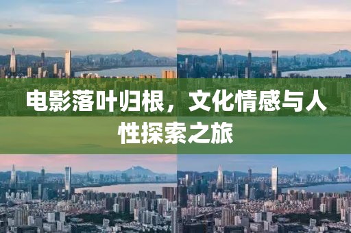 電影落葉歸根，文化情感與人性探索之旅