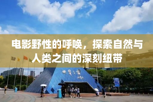 電影野性的呼喚，探索自然與人類之間的深刻紐帶