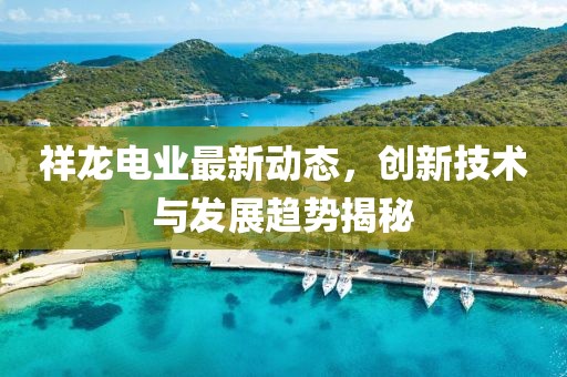祥龍電業最新動態，創新技術與發展趨勢揭秘