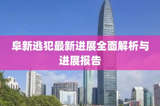 阜新逃犯最新進展全面解析與進展報告