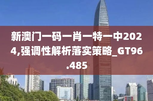 新澳門一碼一肖一特一中2024,強調性解析落實策略_GT96.485