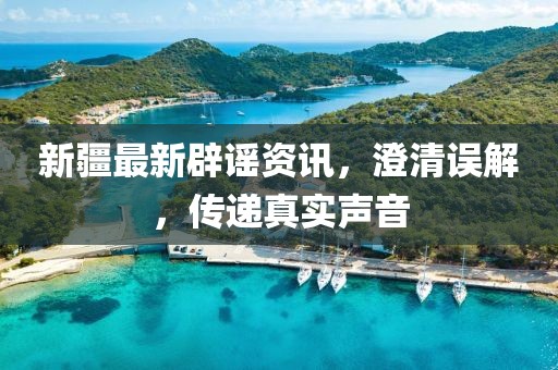 新疆最新辟謠資訊，澄清誤解，傳遞真實(shí)聲音