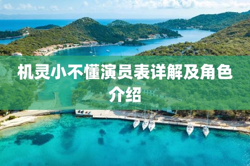 機(jī)靈小不懂演員表詳解及角色介紹
