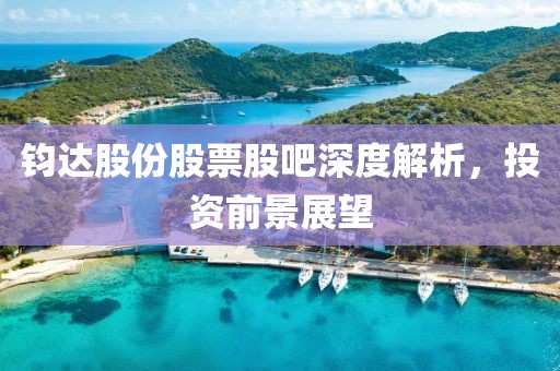 鈞達(dá)股份股票股吧深度解析，投資前景展望