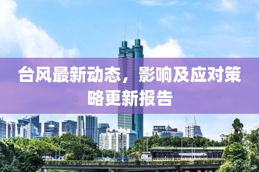 臺風(fēng)最新動態(tài)，影響及應(yīng)對策略更新報告