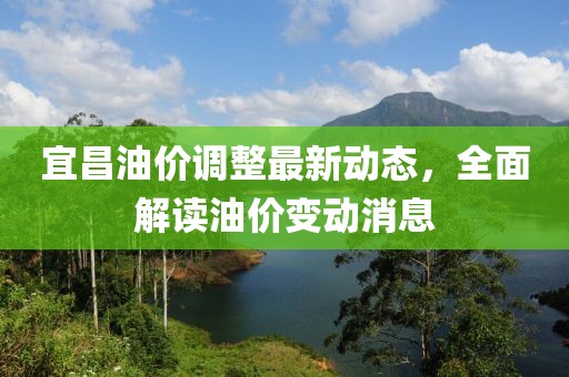 宜昌油價調整最新動態(tài)，全面解讀油價變動消息