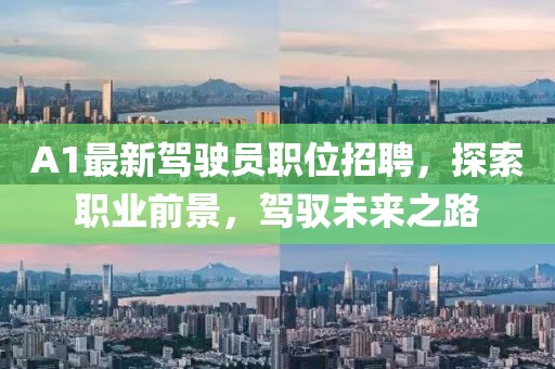 A1最新駕駛員職位招聘，探索職業前景，駕馭未來之路