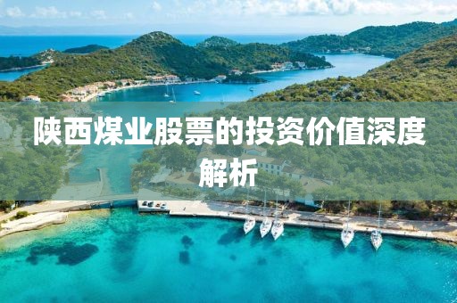 陜西煤業(yè)股票的投資價值深度解析