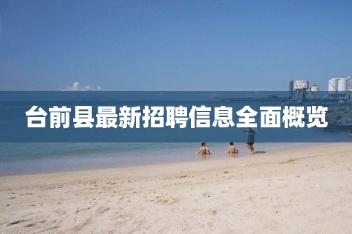 臺前縣最新招聘信息全面概覽