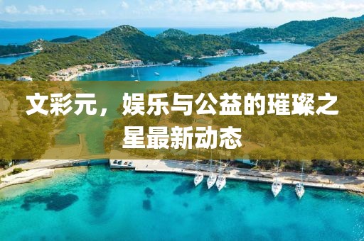 文彩元，娛樂與公益的璀璨之星最新動態