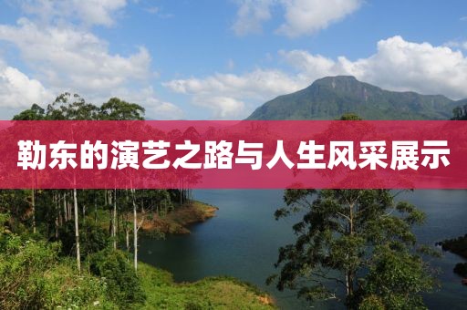 勒東的演藝之路與人生風采展示