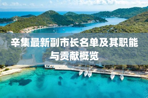 辛集最新副市長名單及其職能與貢獻概覽