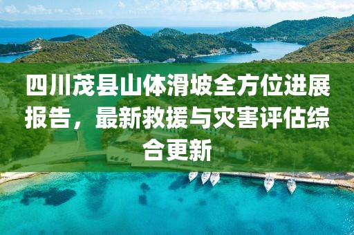 四川茂縣山體滑坡全方位進(jìn)展報(bào)告，最新救援與災(zāi)害評(píng)估綜合更新