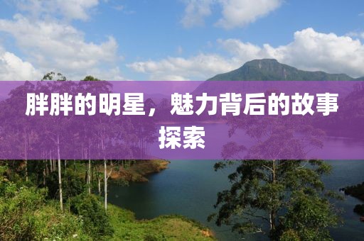 胖胖的明星，魅力背后的故事探索