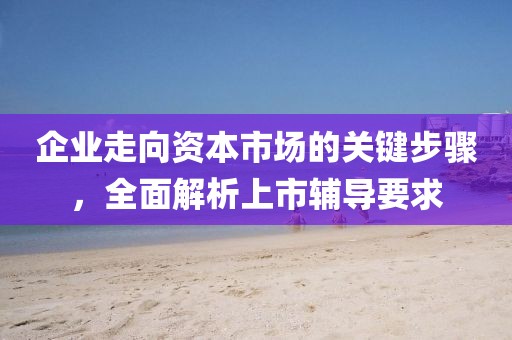 企業走向資本市場的關鍵步驟，全面解析上市輔導要求