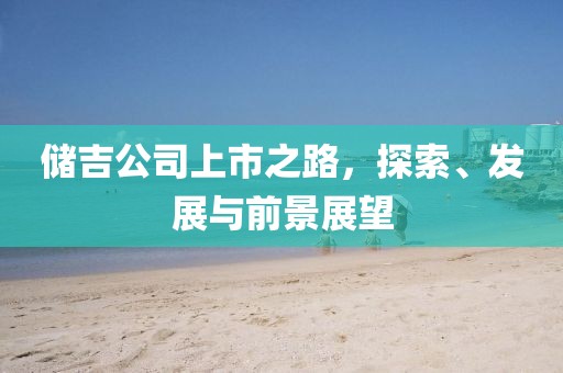 儲吉公司上市之路，探索、發展與前景展望